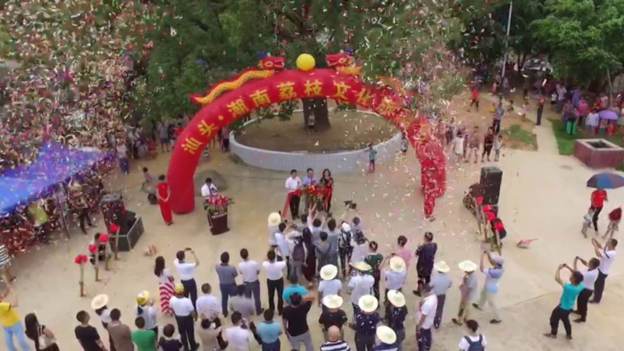 雷岭荔枝红了,还有山区&ldquo;农家游&rdquo;、&ldquo;生态游&rdquo;、&ldquo;休闲观光游&rdquo;、特色果品等你来!