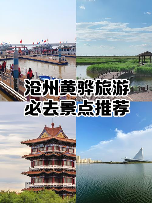 沧州黄骅旅游必去景点推荐 探寻渤海之滨的静谧与野趣