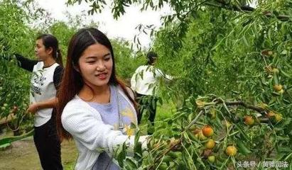 既然沧州这么美,为什么不去看看!