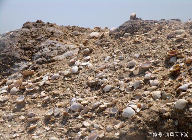 黄骅海边旅游自驾景点攻略,尤其是古贝堤,来了黄骅不能错过